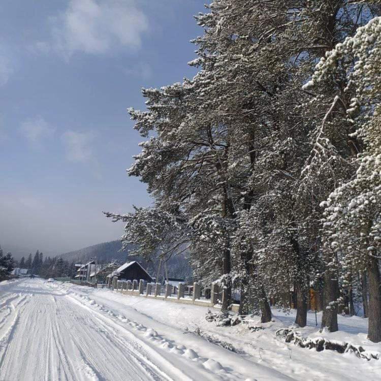 Говерлянка Villa Vorokhta Dış mekan fotoğraf