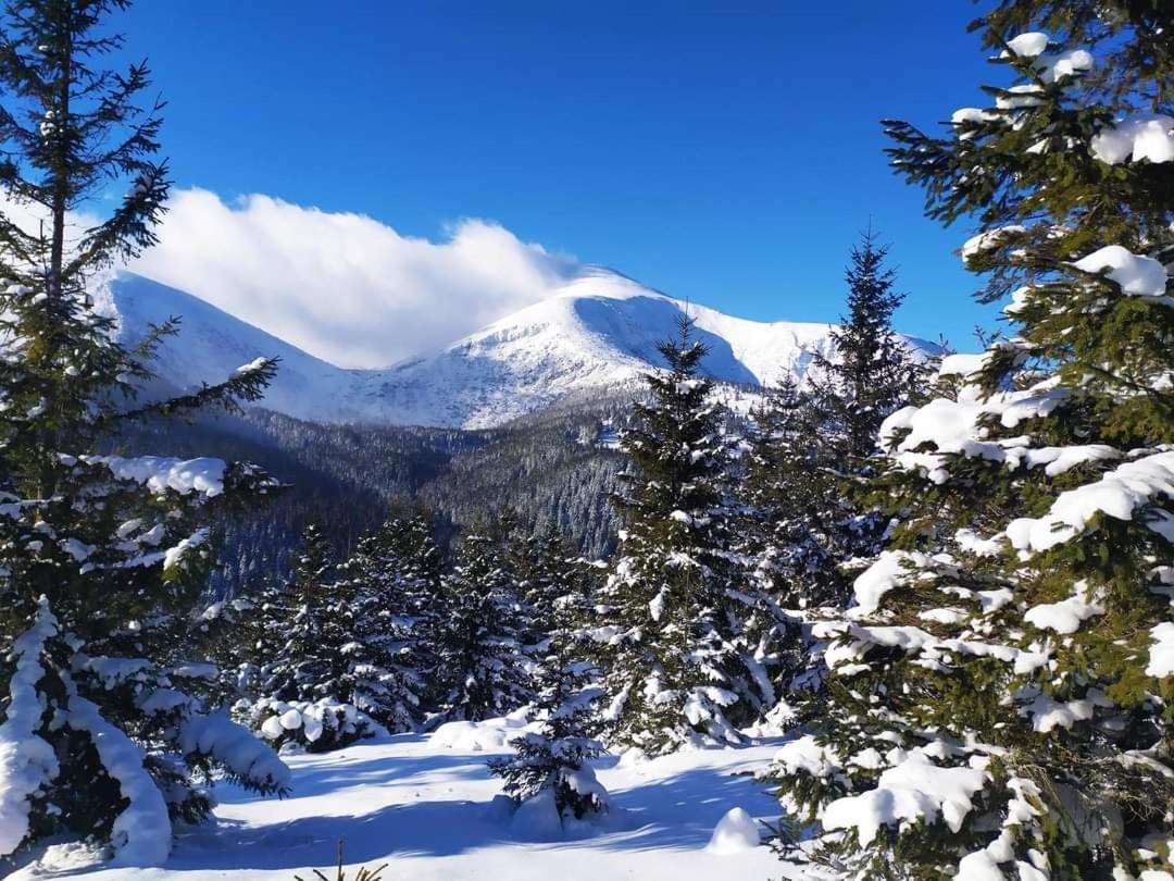 Говерлянка Villa Vorokhta Dış mekan fotoğraf