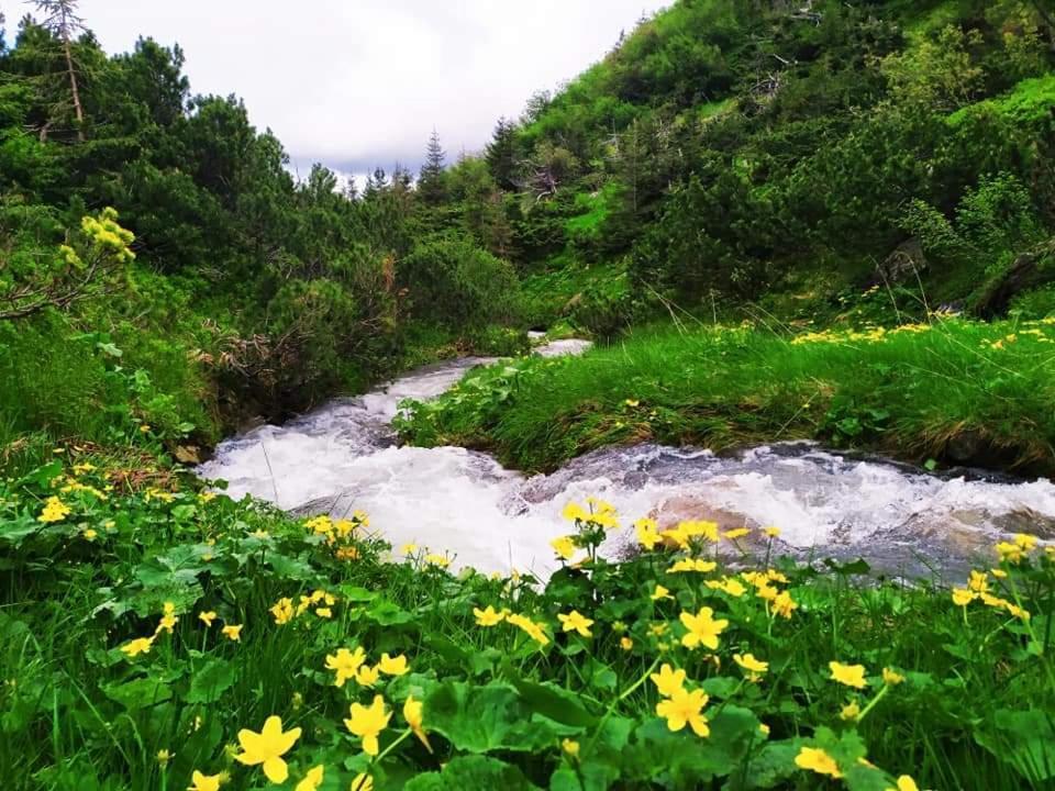 Говерлянка Villa Vorokhta Dış mekan fotoğraf