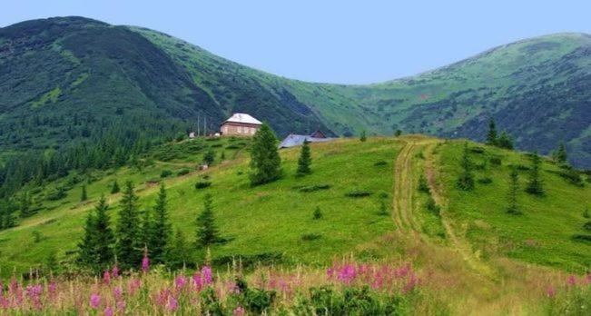 Говерлянка Villa Vorokhta Dış mekan fotoğraf